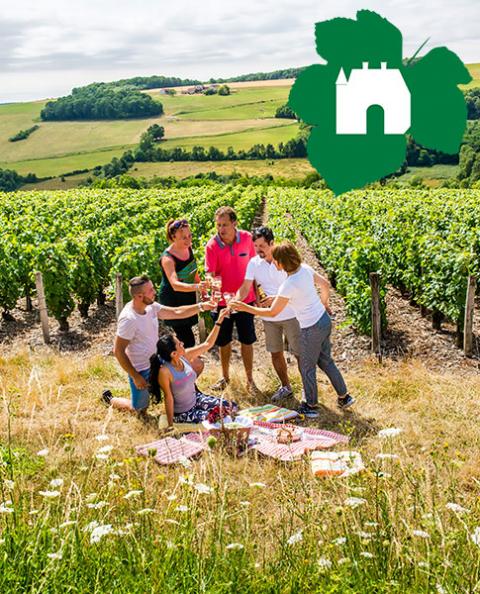 Pique Nique Vignoble de Champagne - Aisne Tourisme